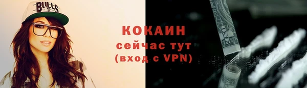 ПСИЛОЦИБИНОВЫЕ ГРИБЫ Гусь-Хрустальный