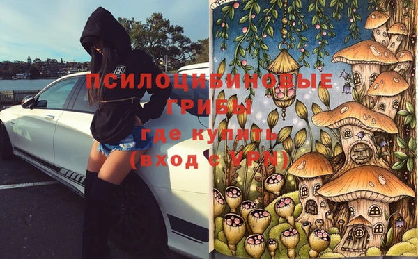 не бодяженный Дмитриев