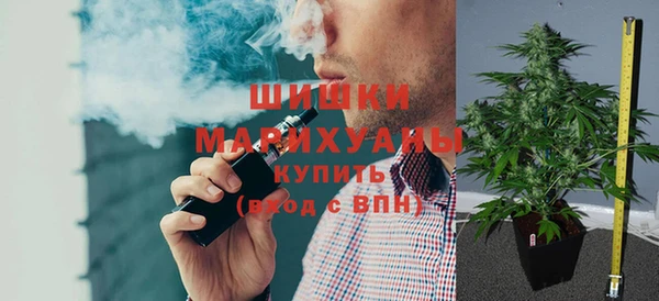ПСИЛОЦИБИНОВЫЕ ГРИБЫ Гусь-Хрустальный