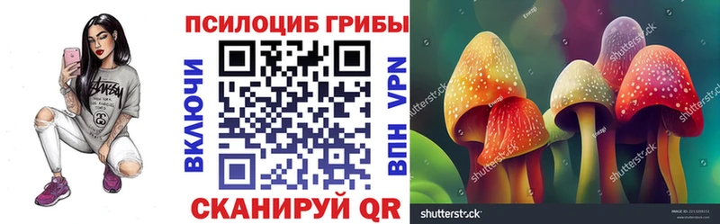 Галлюциногенные грибы прущие грибы  площадка формула  Жирновск 